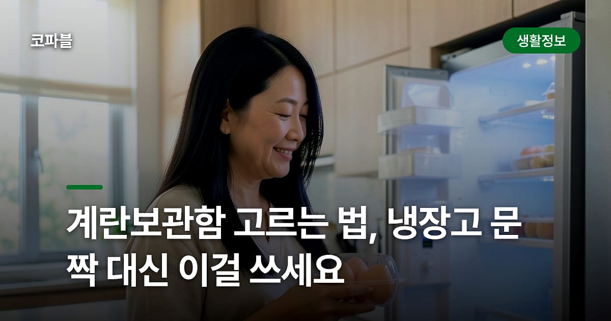 계란보관함 고르는 법, 냉장고 문짝 대신 이걸 쓰세요