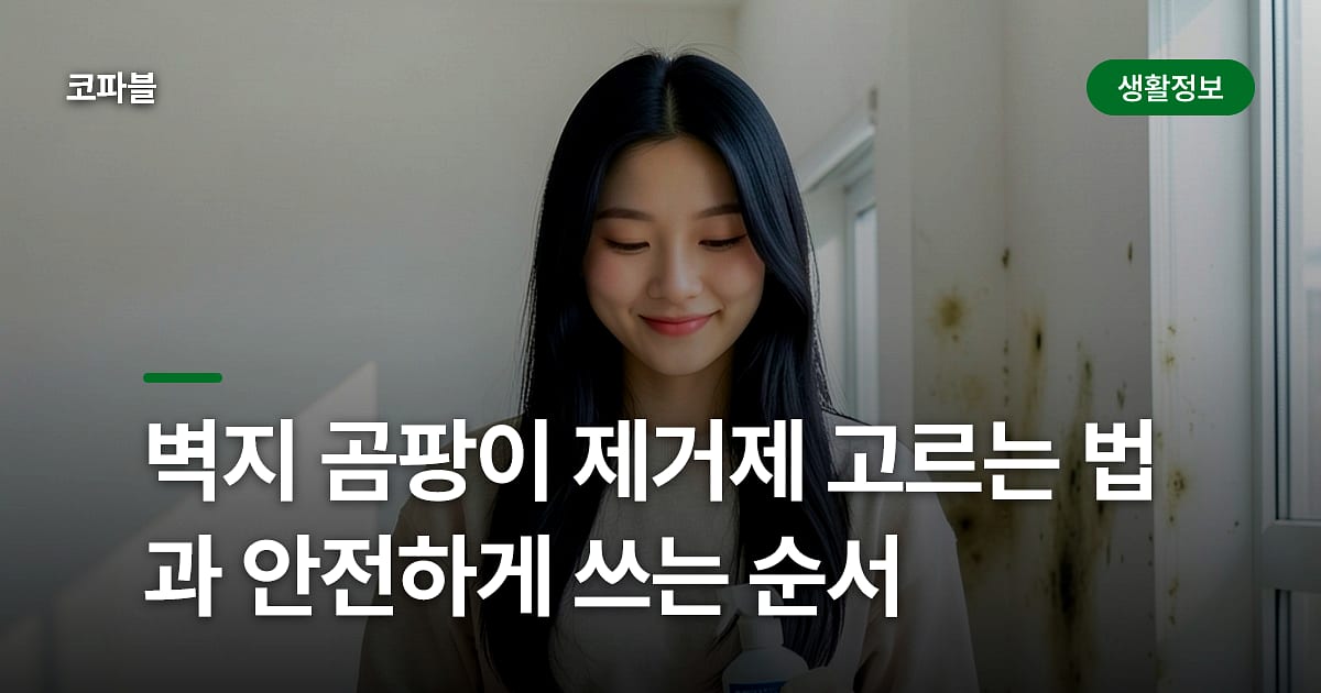 벽지 곰팡이 제거제 고르는 법과 안전하게 쓰는 순서